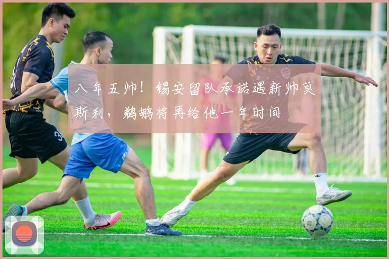 八年五帅!锡安留队承诺遇新帅莫斯利,鹈鹕将再给他一年时间